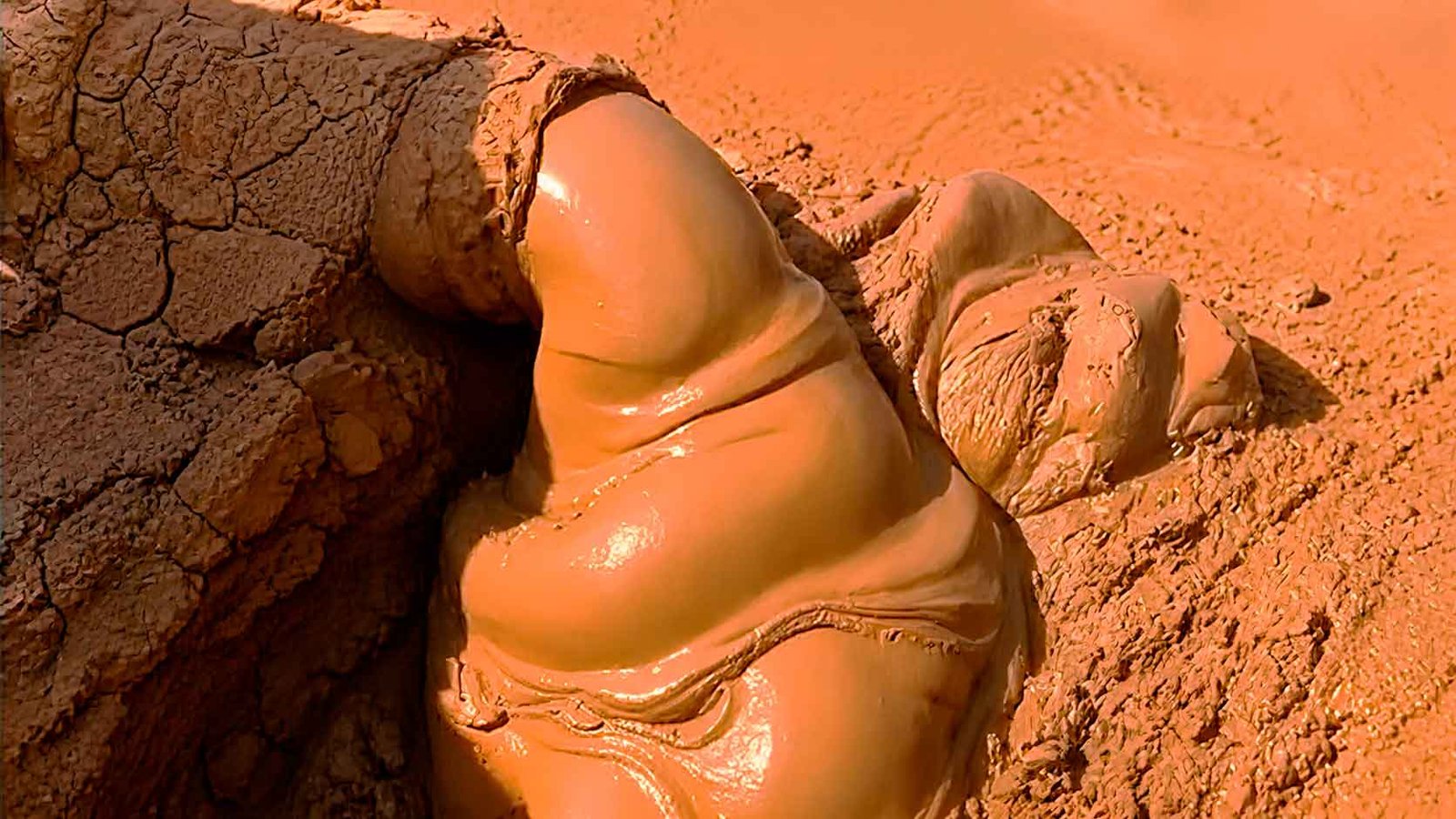Sludge Treatment