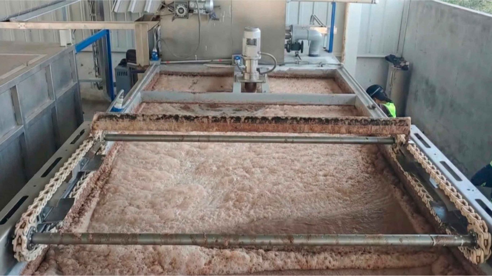 Flotation system for water treatment